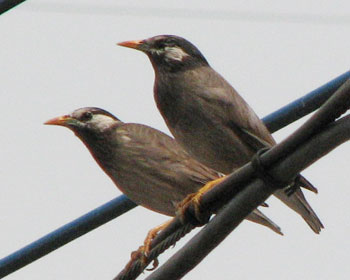 �l���o�Ă����Ə�������Ă�����ʊ��