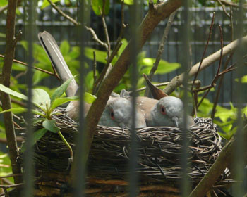 �������n�g�͒��ǂ��v�w