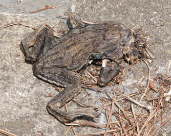 ������уJ�G��