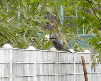 ���Y����������