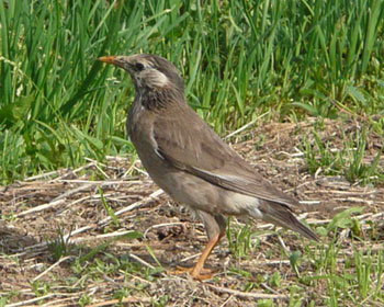 �������N�h��