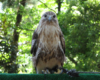 ���ʊ�����킢��