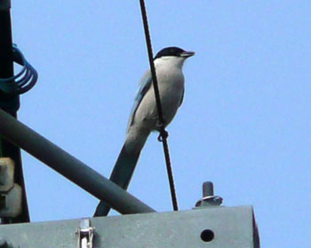 �I�i�K�͂�����������