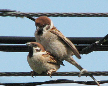 ���̓��������܂�A����荞�ݒ�