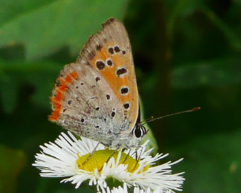 �{�����x�j�V�W�~