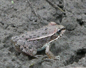 �q�_���}�K�G��