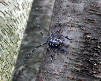 �k���œ�����S�}�_���J�~�L��