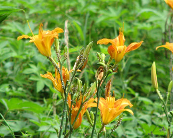 �m�J���]�E����