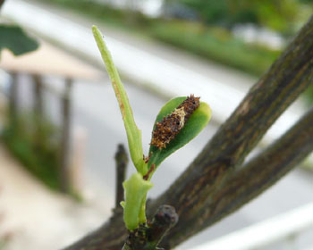 �t���ς����������āA���̂��ƈ����z������