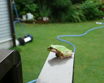 ��ɂ���܂�