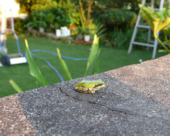 ���ɂ���܂�