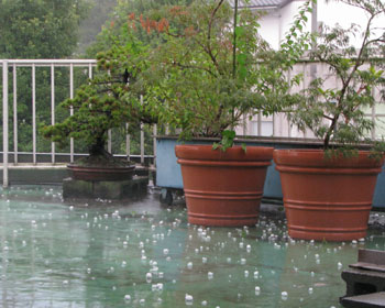 �����炾���ǂW���̂Ђ傤