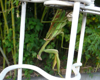 ����荞�ݒ�