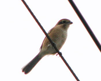 ��������������