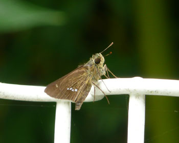 �ڂ����킢���Z�Z��