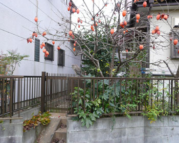 �S�C�T�M��T���I