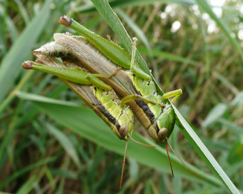 �t���ł���荞�ݒ�