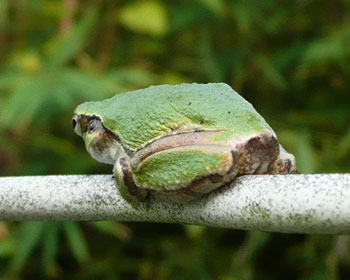 ���K�Ƀt�B�b�g