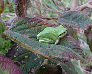 �g�t�ɂ͍��킹�ɂ���