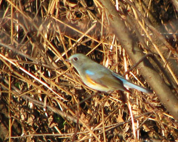 ���������r�^�L