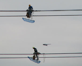 �e�v�R��ƒ��ɒʉ߂����I�i�K