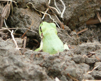 ���N���o�Ă��܂���