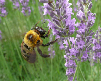 �z�o��������ʂ�Ȃ�