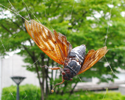 �w偂̑��ɂ�������