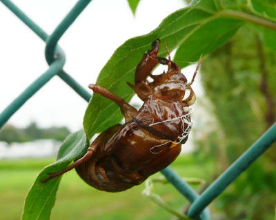 �H���̏ꏊ�͑I�΂Ȃ�