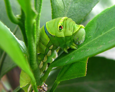 ����܂�C�������