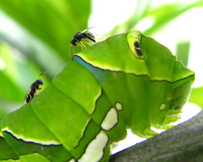 ��x�������ƒ�������