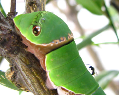 �N���A�Q�n�ɂ܂ł�����