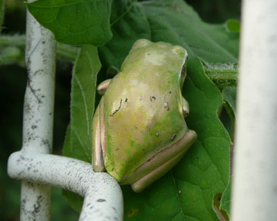 �ǂ����̐F�ɍ��킹�邩�����Ă��܂���