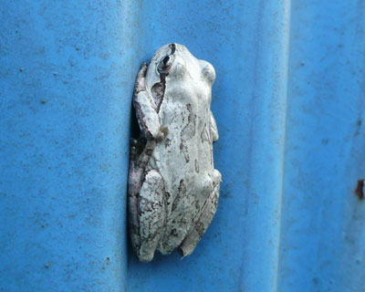 ���Ȃ�͓̂������