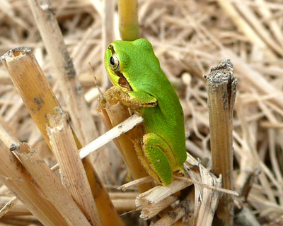 ��������ɂ����݂�