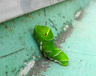 ���U���đO���m�F