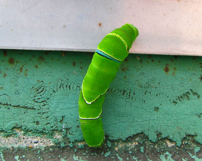 �E�ɐi�H�����ƌ��߂�