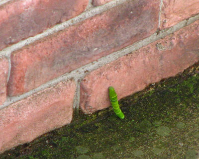 �߂����ɗׂ̕���o��