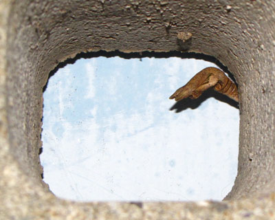 �w�������肷���̐l