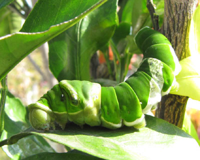 �ړ����J�n