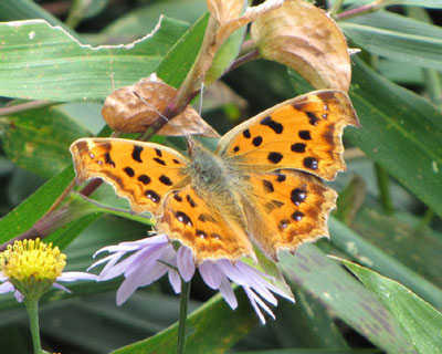 �H�Ɍ����L�^�e�n