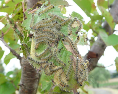 ���ꂾ������͊댯