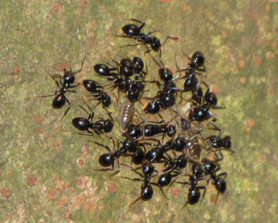 ���S�̐l�̐��̂�m�肽��