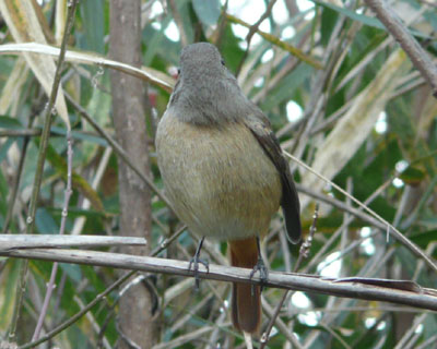 �^�������Ă����ڂ�������