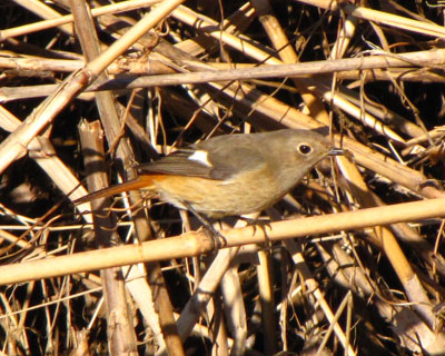 ���������ꏊ����D��