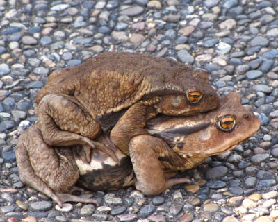 �����������̂ŏo�Ă��܂���