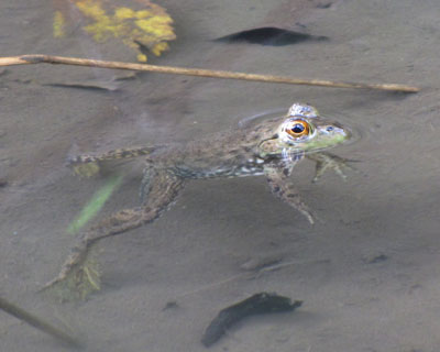 ���������Ă���