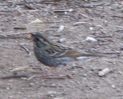 �N���W����E�E�E�H