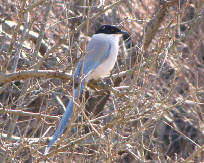 �����͎}����������