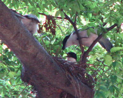 �݂�Ȃň�Ă�